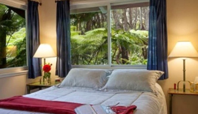 Charming 2 Bedroom Cottage Walking Distance from Volcano Village in Volcano