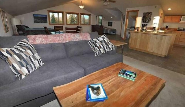 Denali King Suite with Amazing Views! in Healy