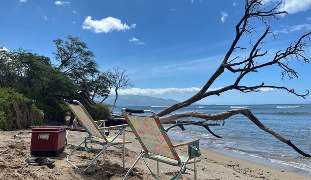 Embark on a journey through Maui with Aloha Glamp in Paia