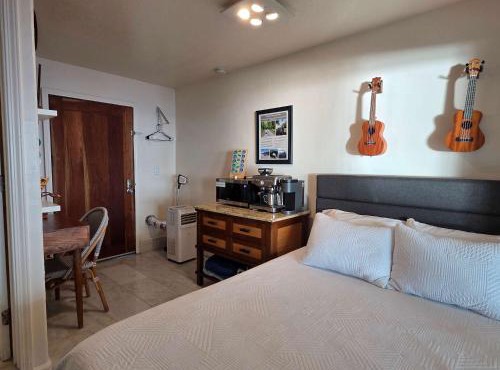 Oceanfront studio see whales and dolphins in Pahoa