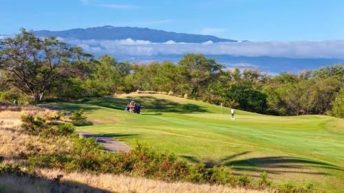 ❤PiH❤ Mauna Kea Palms Ocean Views Stunning Mauna Kea Resort Best Beaches